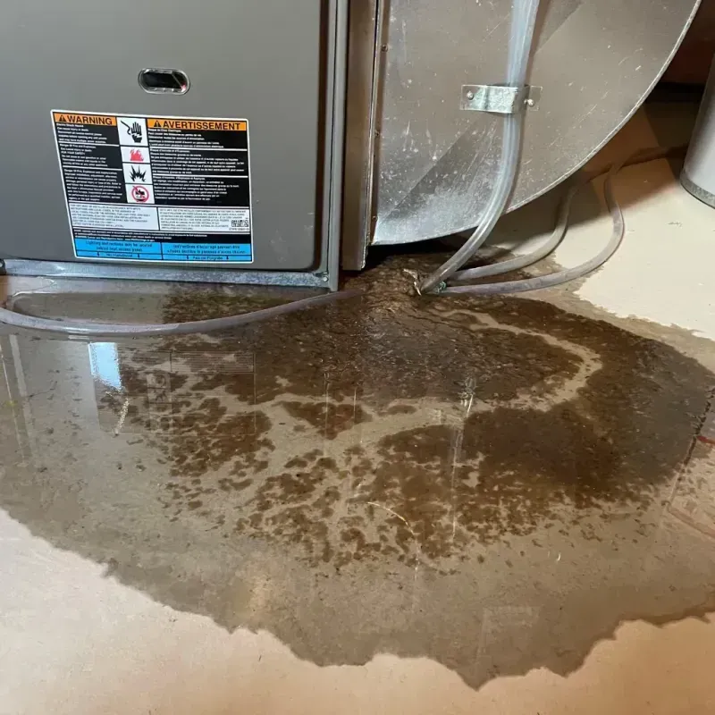 Appliance Leak Cleanup in Alsip, IL